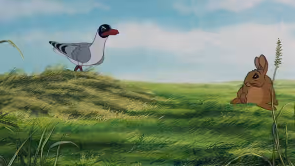 Seagull stands on grassy hill next to small rabbit in field