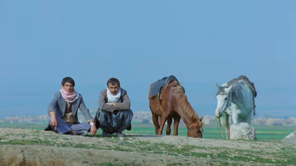 Two men sit beside a grazing horse and a loaded donkey in an open field
