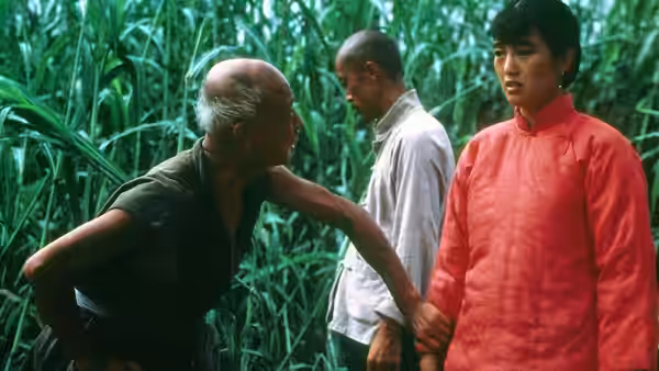 An older man reaches for Jiu'er's (Gong Li) hand among the sorghum