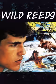 Wild Reeds poster 2