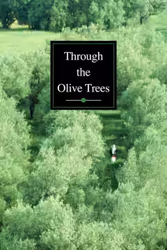 Through the Olive Trees poster 3