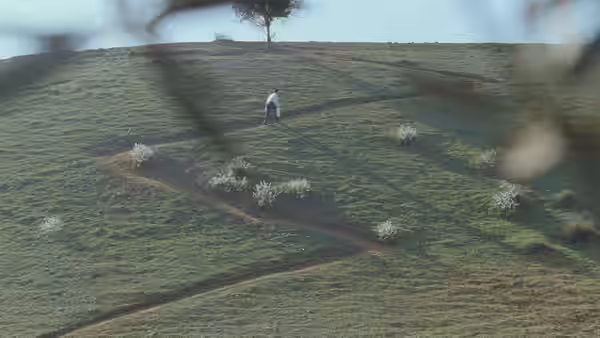 A lone figure walks across a grassy hillside crossed by footpaths