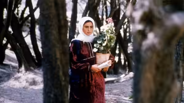 A young woman holds flowers and papers among the trees