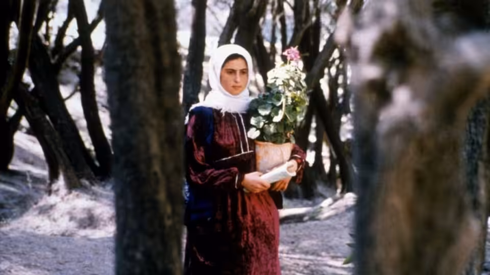 A young woman holds flowers and papers among the trees