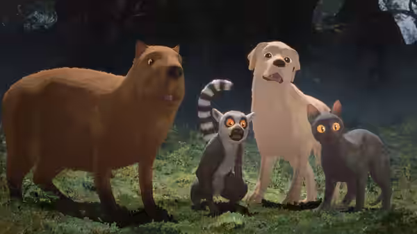 A bear, dog, lemur and black cat stand together in a forest