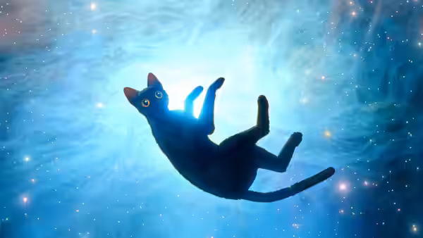 A black cat floats through a glowing expanse of blue water