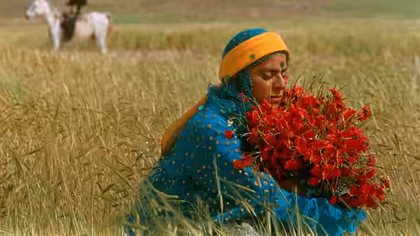 Gabbeh (Shaghayeh Djodat) sits in a wheat field holding a bouquet of red flowers