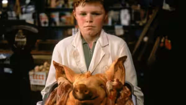 Francie Brady (Eamonn Owens) stands behind a butchered pig head in a shop