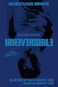 Irreversible poster 5