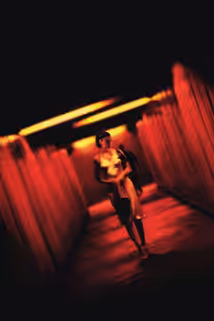 Irreversible poster 1