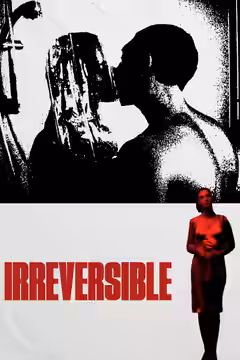 Irreversible poster 3