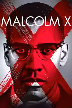 Malcolm X poster