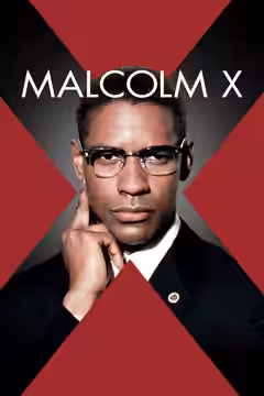 Malcolm X poster 3