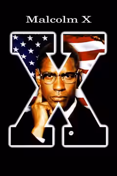 Malcolm X poster 2