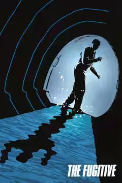 The Fugitive poster 2