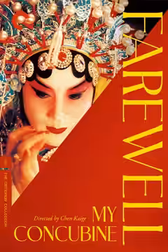 Farewell My Concubine poster 6