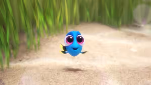 Dory swims above a sandy seabed bordered by seagrass