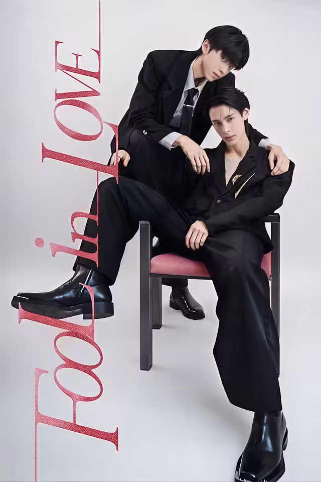 Fool in Love poster