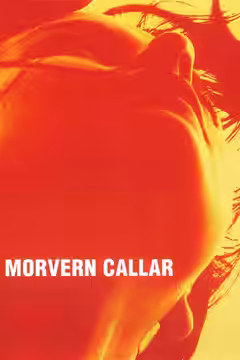 Morvern Callar poster