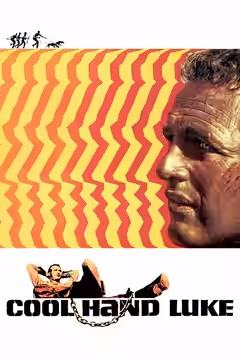 Cool Hand Luke poster