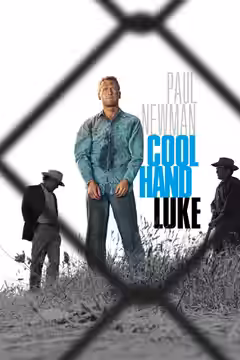 Cool Hand Luke poster 2
