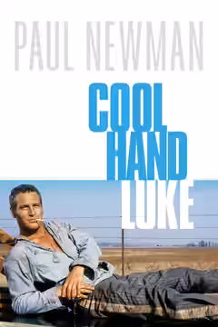 Cool Hand Luke poster 4