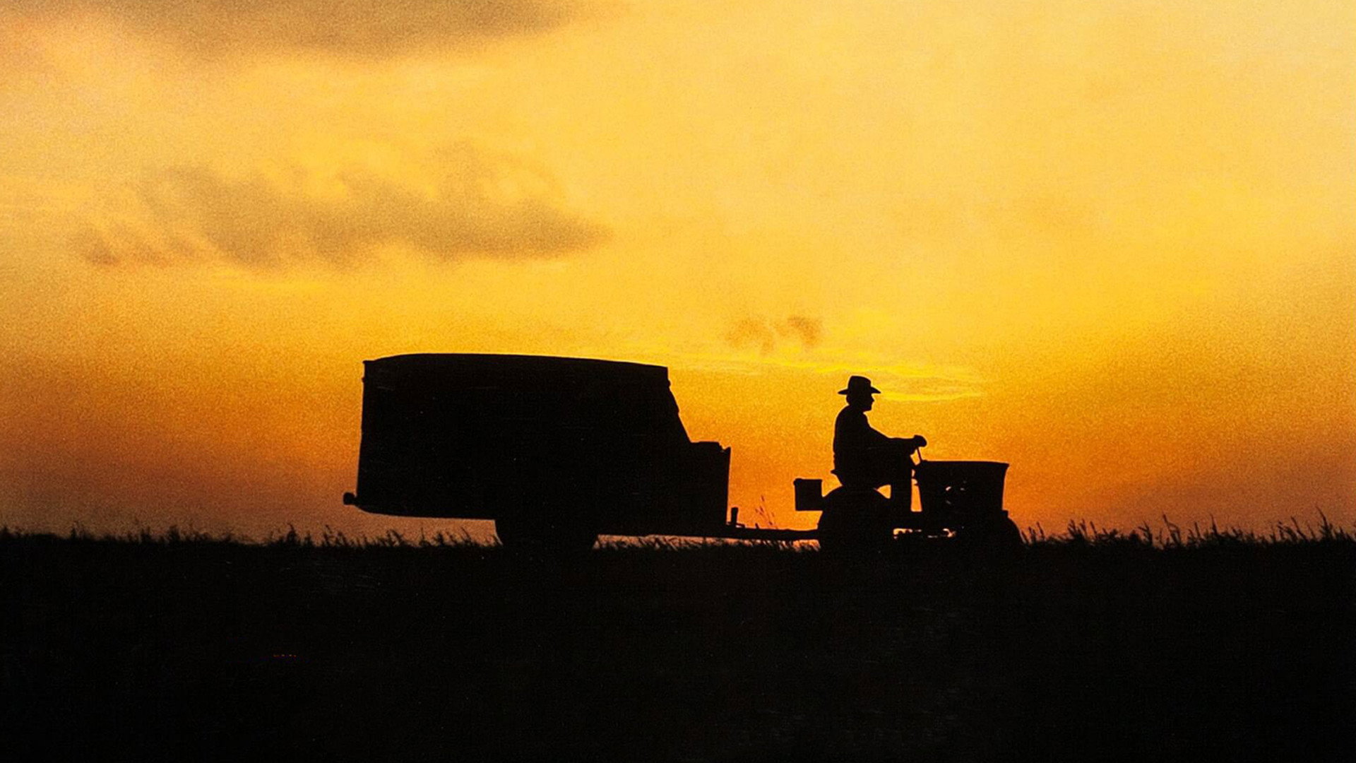The Straight Story, still 4