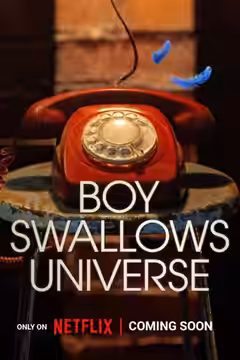 Boy Swallows Universe poster 3