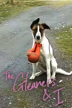 The Gleaners and I poster 5