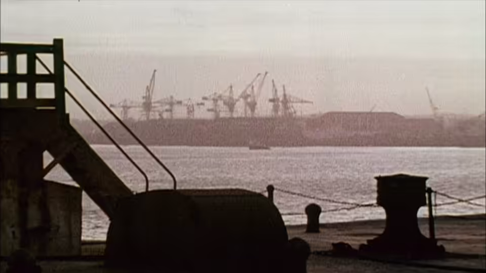 Silhouetted waterfront steps overlook a harbor with cranes on the far shore