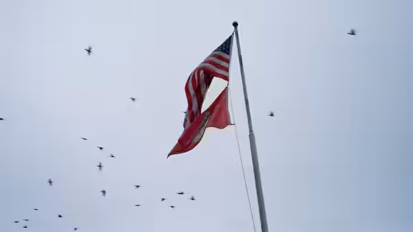 An American flag flies from a tall pole as birds circle across the overcast sky