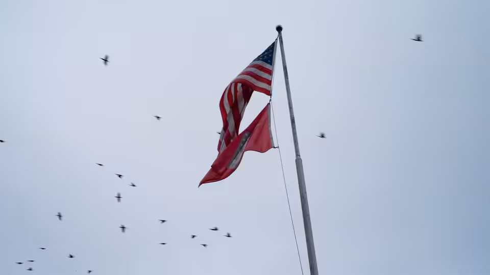 An American flag flies from a tall pole as birds circle across the overcast sky