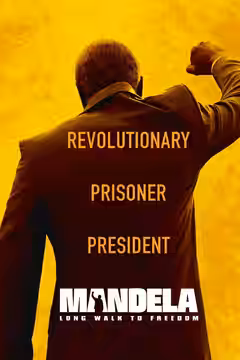 Mandela: Long Walk to Freedom poster 4