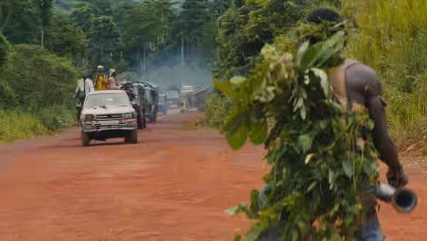 A fighter camouflaged in foliage watches a convoy approach along a forest road