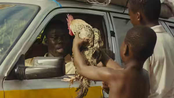 Two boys hold up a chicken to a man seated in a vehicle