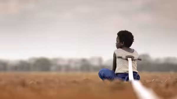 Shula sits alone in a dry field, tethered by a white ribbon