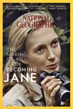 Jane poster 3