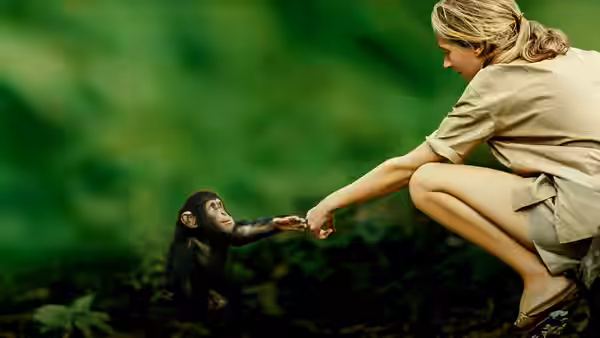 Jane Goodall reaches toward a young chimpanzee in the forest