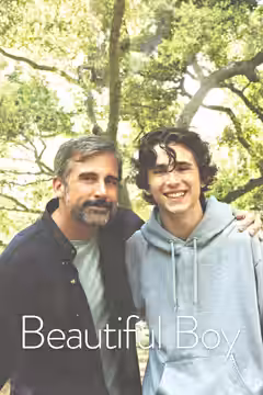 Beautiful Boy poster 4