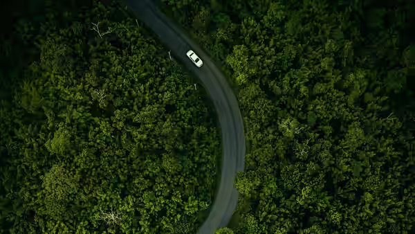 A white car follows a winding road through dense green forest
