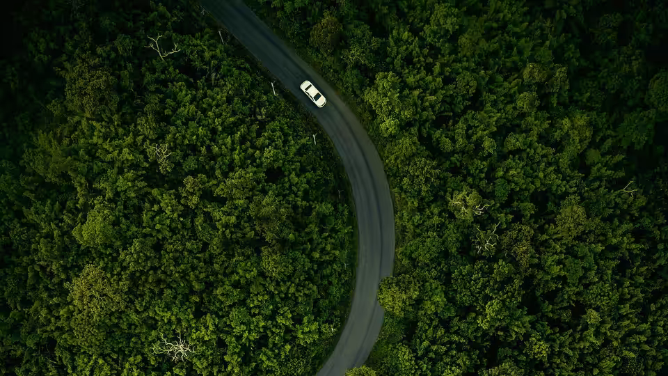 A white car follows a winding road through dense green forest