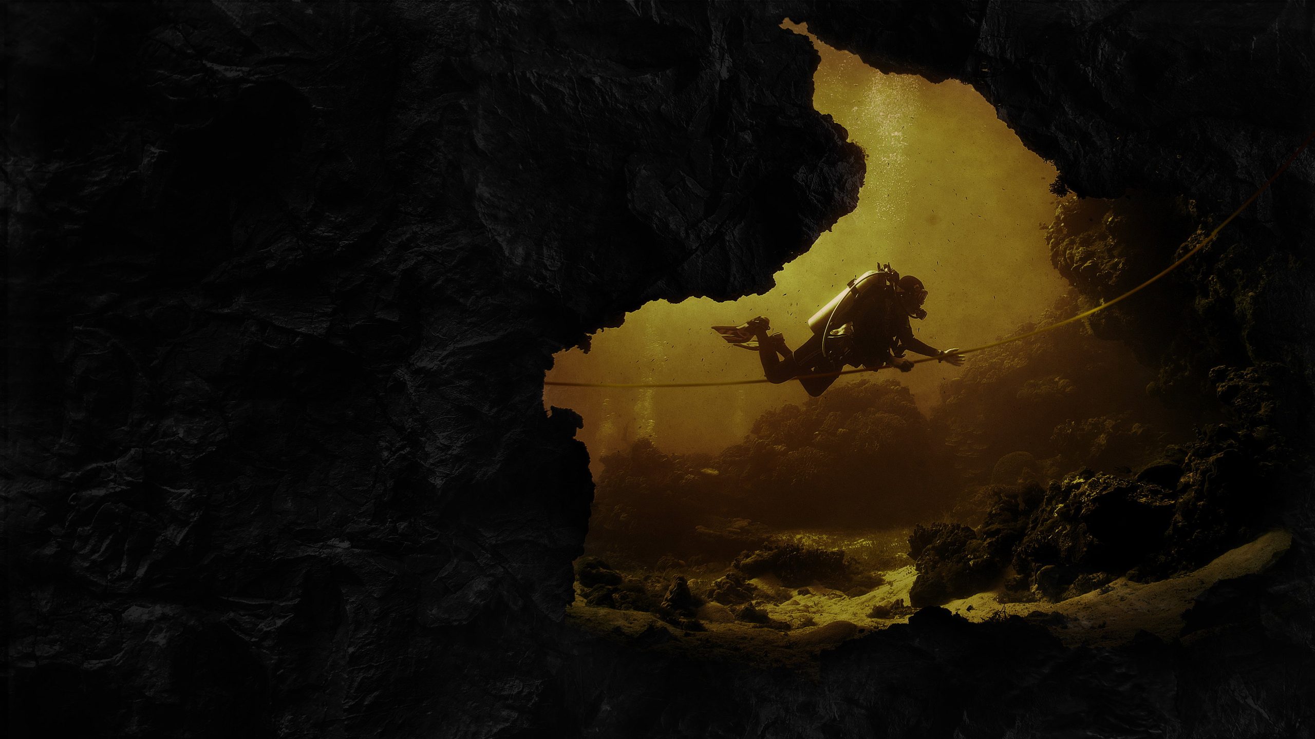 The Rescue, still 3