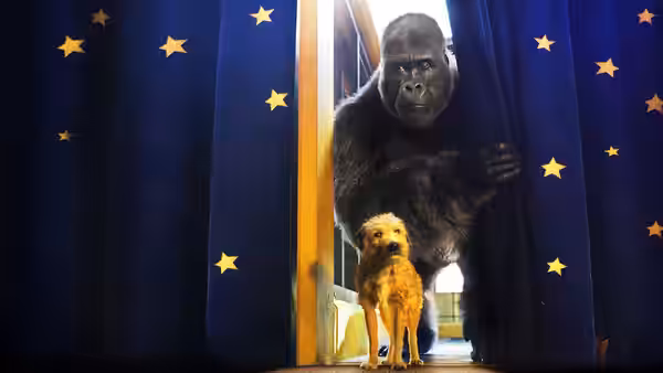 Ivan and Bob stand between star-patterned curtains at the circus