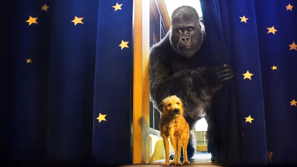 Ivan and Bob stand between star-patterned curtains at the circus