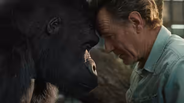 Mack leans close to Ivan inside the gorilla's enclosure