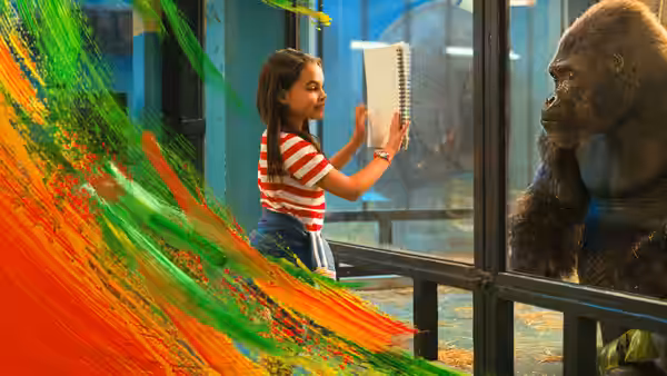 Julia paints on glass while Ivan watches from inside his enclosure