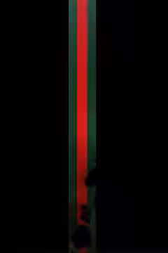 House of Gucci poster 5