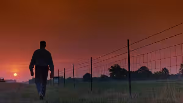 A man walks through a field at sunset beside a fence