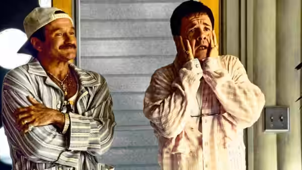 Robin Williams as Armand Goldman in The Birdcage (1996)