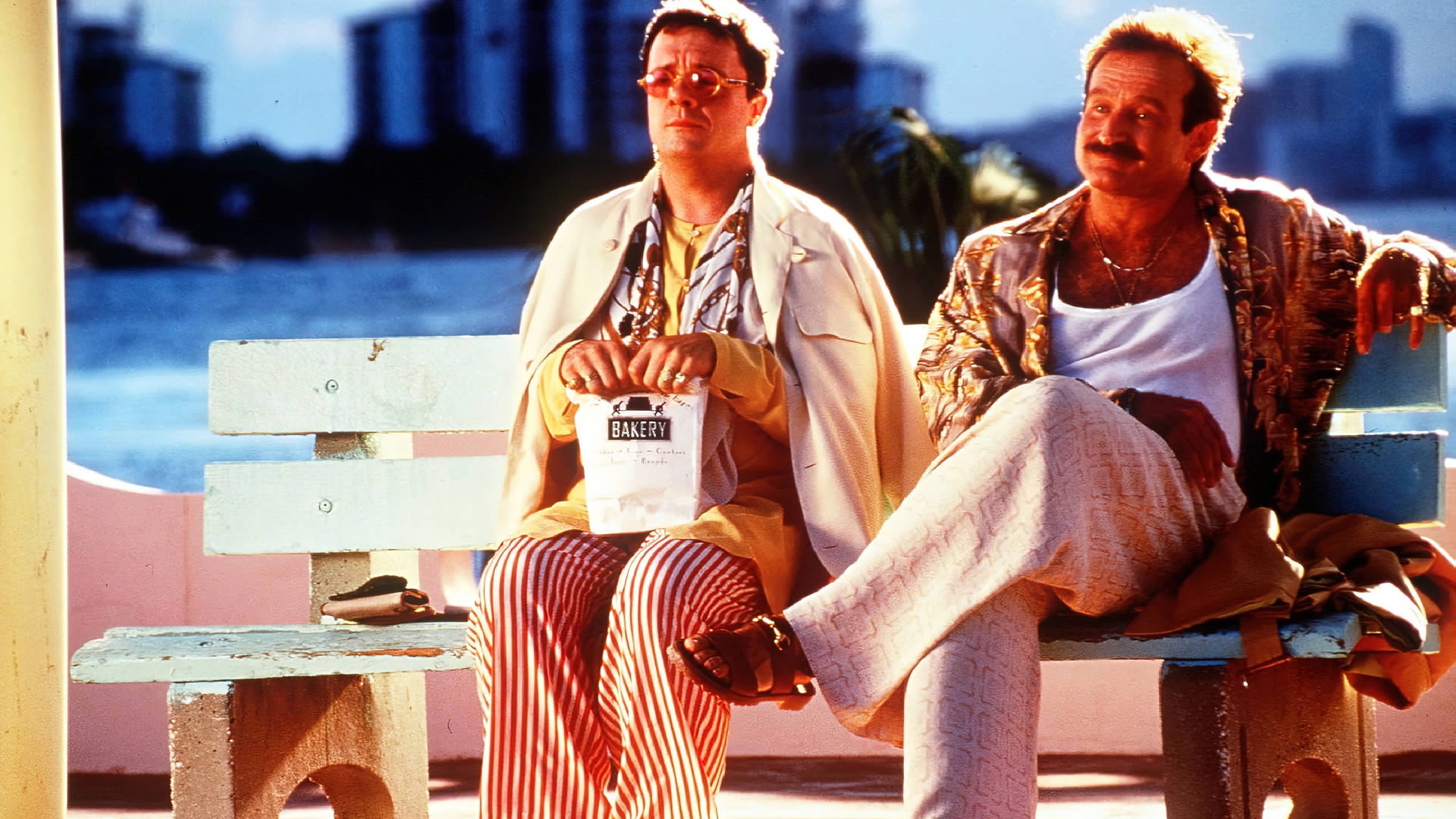The Birdcage, still 2